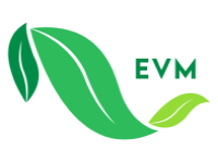 EVM Bmotik